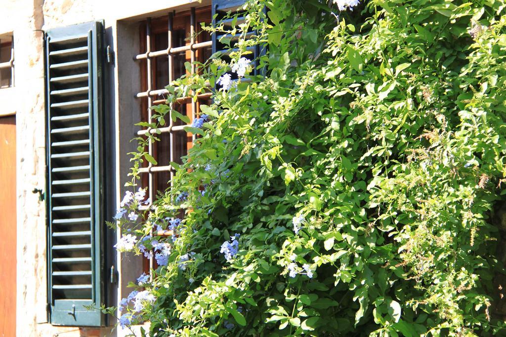 Antica Casa "Le Rondini" Bed and Breakfast Borgo a Buggiano Eksteriør billede